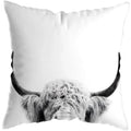 Axyaa Highland Cat Cow Yak Animal Pillowcase Home Decor Sofa Decoration