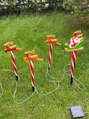 Axyaa Solar Christmas Lights Set for Festive Lawn Decor
