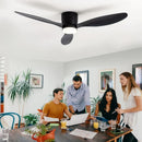 Axyaa Modern Ceiling Fan Light & Remote Control 45-52 Inch Chandelier in Living Room