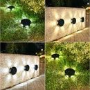 Axyaa Solar LED Buried Light for Outdoor Garden Pathway Decoration