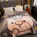 Axyaa Double Thickened Raschel Blanket: Winter Warm, Student Dormitory Quilt