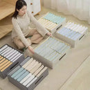 Axyaa Clothes Organizer Cabinet Drawers Underwear Socks T-Shirt Wardrobe Storage Organiser