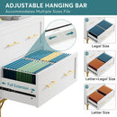 Axyaa 2 Drawer Lateral File Cabinet for Letter/Legal/A4 Size, Modern Office Storage