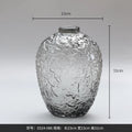 Axyaa Frosted Glass Vase - Elegant Decor for Living Room with Transparent Design