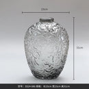Axyaa Frosted Glass Vase - Elegant Decor for Living Room with Transparent Design