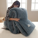 Axyaa Double-Sided Milk Fleece Winter Quilt Core - Thickened & Warm