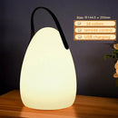 Axyaa LED Night Light: Portable, Rechargeable, Versatile for Home, Outdoor, and Camping