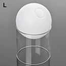 Axyaa Vintage Glass Vase for Tabletop Plants and Flower Arrangements