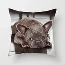 Axyaa French Bulldog Cushion Cover - 45X45CM