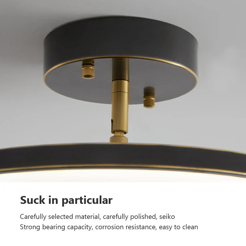 Axyaa Rotatable LED Ceiling Light for Home Decor