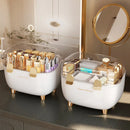 Axyaa Acrylic Lipstick Holder Organizer with Lid: Clear Makeup Display Stand Container