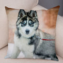 Axyaa Siberian Husky Pet Sofa Cushion Cover - Cute Dog Print Pillowcase