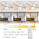 Axyaa Large Retro Ceiling Fan for Living Room - Simple Design Electric Ceiling Lamp