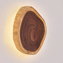 Axyaa Solid Wood Wall Lamp: Mid Ancient Japanese Wabi Sabi Style Designer Lighting Fixtures