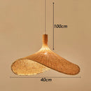 Axyaa Modern Pendant Lights Indoor Lighting Ceiling Chandeliers LED for Dining Room
