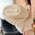 Axyaa Double Layer Fleece Blanket for Sofa or Bed Queen – Thick & Warm