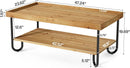 Axyaa Solid Wood Coffee Table, 2-Tier Rectangular Center Table with Metal Legs