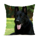 Axyaa German Shepherd Dog Polyester Pillowcase for Home & Office Decorateurs
