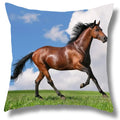 Fine Horse Print Cushion Cover for Home Decor by Axyaa