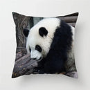 Axyaa Panda Print Polyester Cushion Cover - 45x45cm