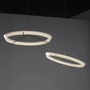 Axyaa Nordic Acrylic Chandelier LED Ceiling Light for Living Room Kitchen Restaurant