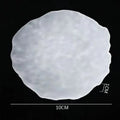 Axyaa Glass Dinner Plates Set - Restaurant Tableware for Desserts, Snacks, Sushi, Cakes