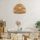 Axyaa Rattan Pendant Light for Living Room and Restaurant Decor