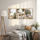 Italian Country Olive Tree Canvas Prints Set for Modern Home Decor by Axyaa
