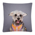 Axyaa Cute Dog Photo Polyester Cushion Cover for Home Sofa Car