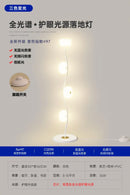 Axyaa Modern Iron Art Sphere Floor Lamp for Living Room, Garden Cafe, Study - Standing Light