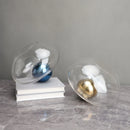 Axyaa Irregular Glass Vase Golden Ball Terrarium Flower Arrangement Jar