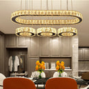 Axyaa Modern LED Pendant Chandelier for Living Room Ceiling Lighting