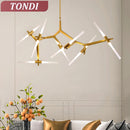 Axyaa Gold Luxury LED Chandelier for Home Decor