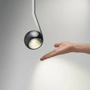 Axyaa LED Chandelier Modern Home Decor Lighting