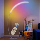 Axyaa RGB LED Fishing Floor Lamp for High-End Living Room Decor