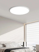 Axyaa Modern Minimalist LED Ceiling Light for Living Room and Bedroom