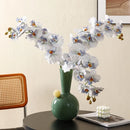 Axyaa Geometric Glass Sphere Vase for Flower Arrangements & Home Decor