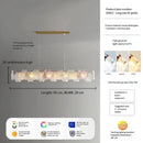 Axyaa Luxury Glass Crystal Chandelier for Living Room, Bedroom, and Study