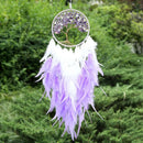 Axyaa Colorful Feather Pendant Dream Catcher Wall Hanging for Living Room