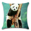 Axyaa Panda Cartoon Cushion Cover – 45x45cm Polyester Throw Pillowcase for Home Decor