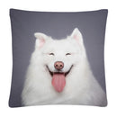 Axyaa Cute Dog Photo Polyester Cushion Cover for Home Sofa Car