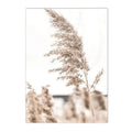 Axyaa Beach Shell Landscape Canvas Art Print for Nordic Living Room Decor