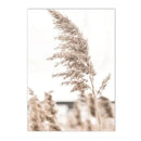 Axyaa Beach Shell Landscape Canvas Art Print for Nordic Living Room Decor