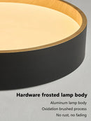 Axyaa Modern LED Ceiling Lamp | Simple Nordic Style for Master Bedroom, Living Room, Study