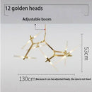Axyaa Satellite LED Chandelier for Home Decor Lighting