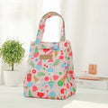 Axyaa Multicolor Waterproof Hand Pack Thermal Lunch Bag for Women