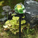 Axyaa Frog Resin Solar Outdoor Light for Garden Decor