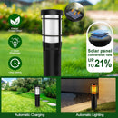 Axyaa Solar Flame RGB Pathway Lights for Outdoor Landscape Decor