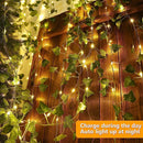 Axyaa Solar Vine String Lights - Waterproof Outdoor Fairy Lights for Christmas Garden