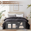 Electric Heating Blanket 10 Levels, Auto Shut Off, Fast Heating, Machine Washable 72x84, Charcoal by Axyaa
